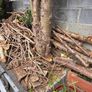 Fire wood Image 2