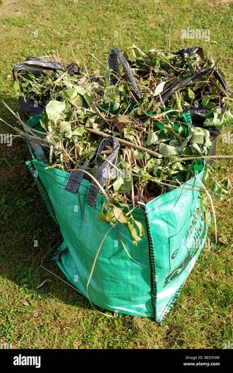 rubbish removal / garden clearance