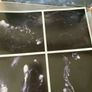 Swans - My Father Will Guide Me up a Rope to the Sky (First Press) Image 8