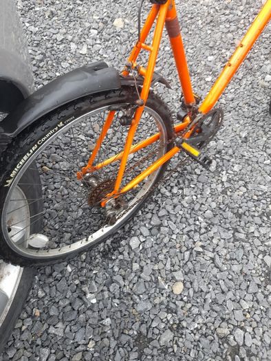 Adult Mountain Bike
