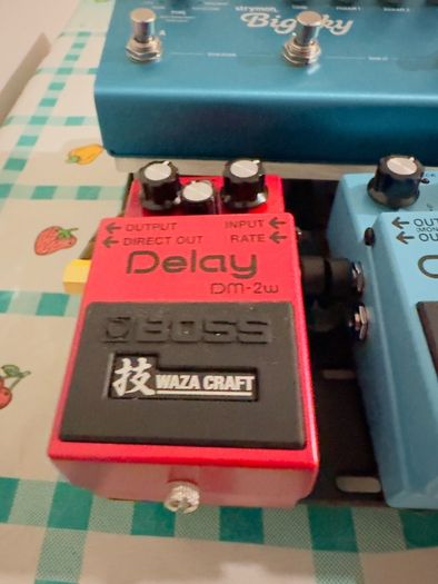 Boss DM-2W Waza Craft Custom Delay