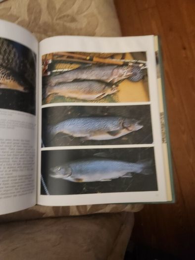 Fishing  St Michael Sports Starters. By Gerry Hughes.  First Edition Large Volume Hardback In Good Condition.
