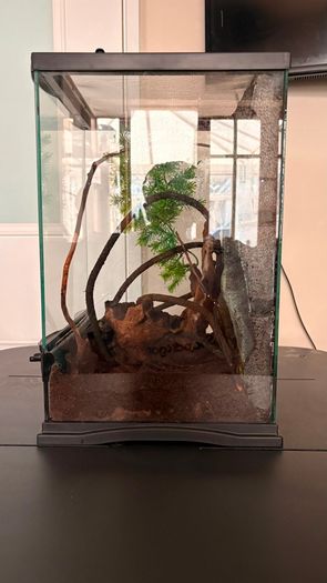 Terrarium