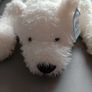 Rare Jellycat Nozzy Polar Bear Retired Brand New With Tags Image 2