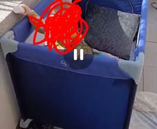 carry cot
