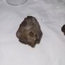 Grey kidney shaped agate euro Image 5