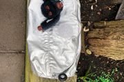 kipling silver pencil case