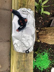kipling silver pencil case