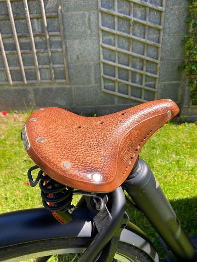 Bakfiets Classic Electric Cargo Bike Short Steps