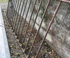 Antique Cast Iron Railings