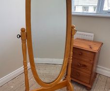 Mirror Swivel