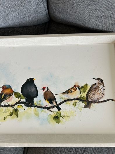 Laura Ashley framed  bird print