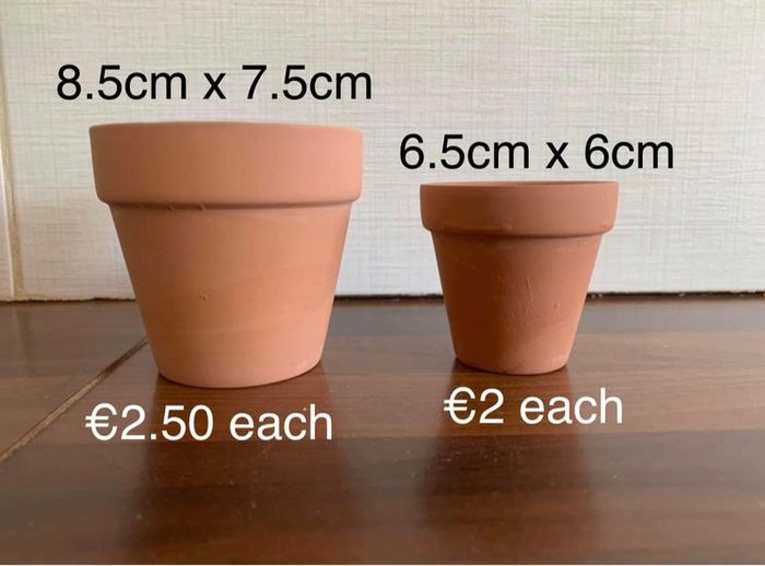 Clay pot