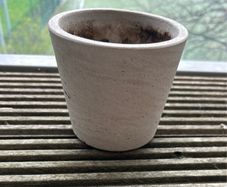 Plant pot