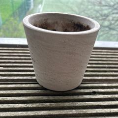 Plant pot