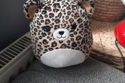 Leopard  squishmallow