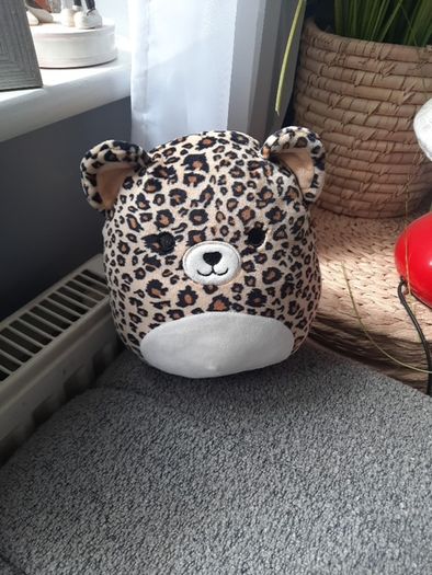 Leopard  squishmallow