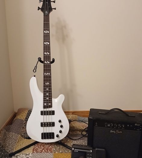 Bass Amp Effects Pedal looper