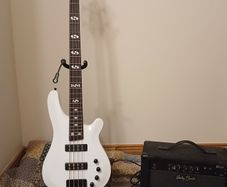 Bass Amp Effects Pedal looper