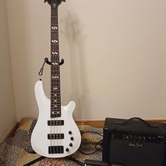 Bass Amp Effects Pedal looper