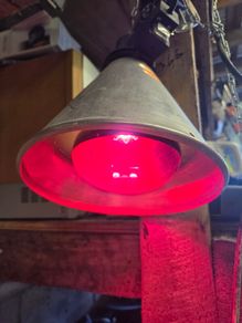 Heat lamp