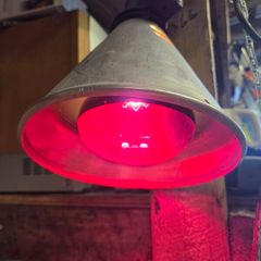Heat lamp
