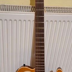 Godin Acousticaster