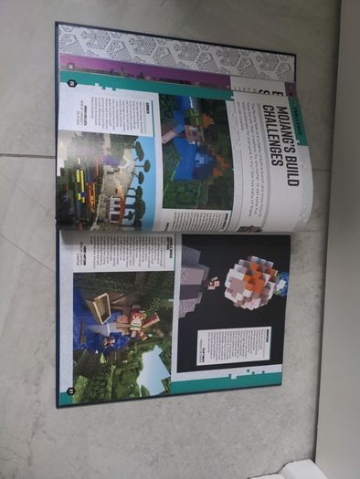 Minecraft Annual 2019