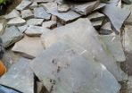 Garden  blue       stones