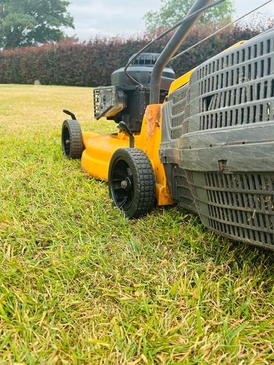 Push Lawnmower