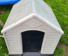 Kennel