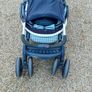 Buggy and Pram Image 8