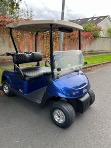 golf buggy for sale