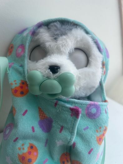 Baby paws husky