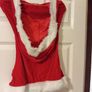Costume Dress Image 2