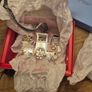 Newbridge Silverware Christmas Decorations x5 | 4 New Boxed / Crystal Collection Ornament Image 7