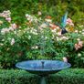 Solar Fountain 2.5W Solar Water Fountain with Solar Panel Solar Pond Pupme with 6 Fountain Nozzles Solar Floating Fountain Pump for the Garden, Bird Bath, Fish Tank Image 2