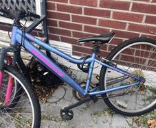 Free bike