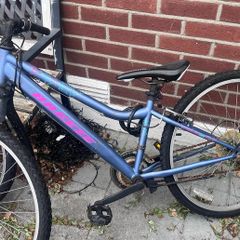 Free bike