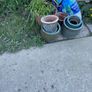 flower pots Image 6