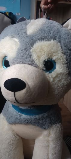 Big Dog teddy