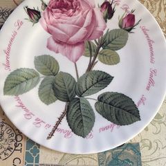 china plates and plates