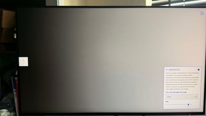 Dell UltraSharp 24 Monitor - U2424H