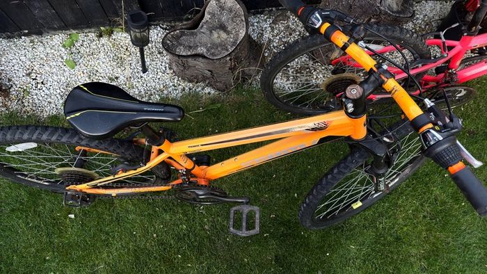 2 kids bikes