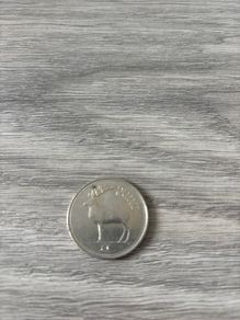 Irish punt coin