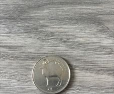 Irish punt coin