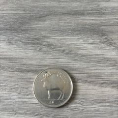 Irish punt coin