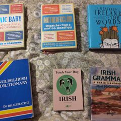 Irish language books