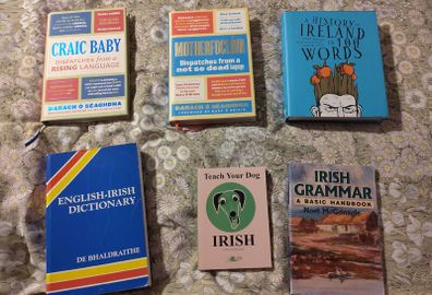 Irish language books