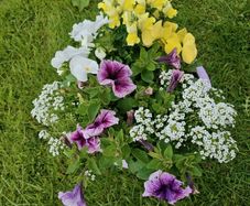 Potted flower